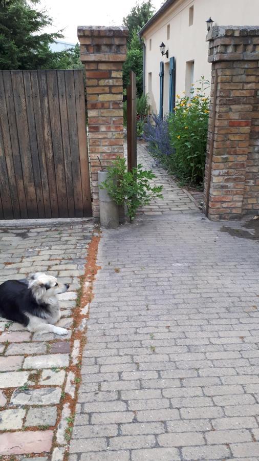 Blumenhaus Apartman Velten Kültér fotó