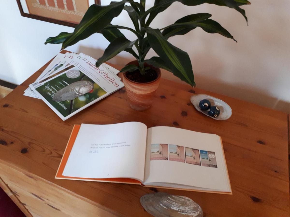 Blumenhaus Apartman Velten Kültér fotó