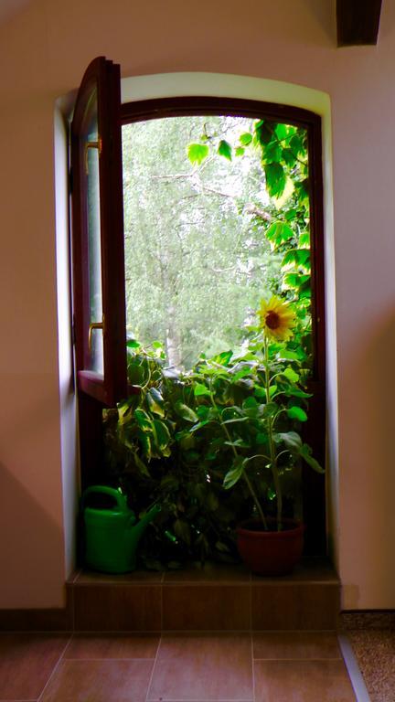 Blumenhaus Apartman Velten Kültér fotó